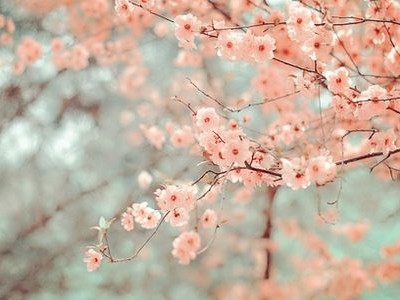 <b>Mysql面试常见知识点总结(一)</b>